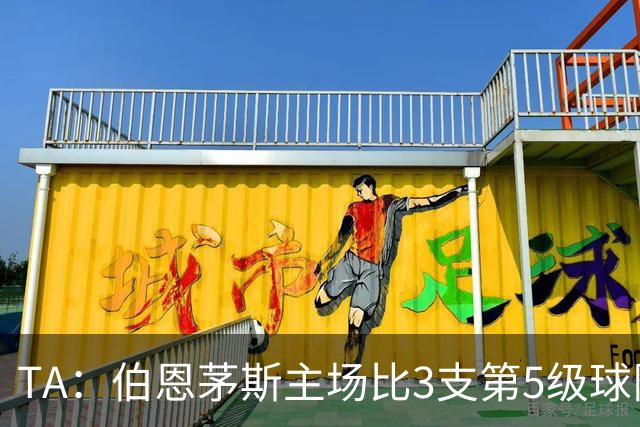 TA：伯恩茅斯主场比3支第5级球队还小，伊劳拉如今的压力远超从前